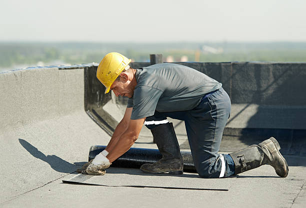 Best Insulation Maintenance and Repair in Robinson, IL