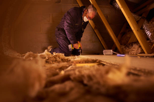 Best Insulation Installation Services in Robinson, IL